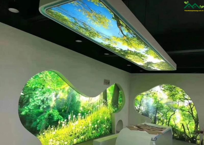 Vách Xuyên Sáng 3d